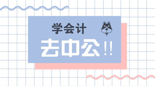 贊 公司建賬必備 會計分錄大全